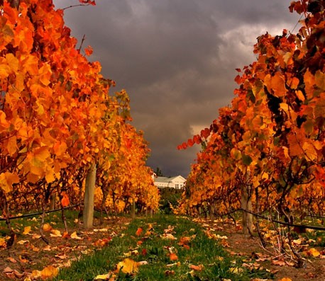 短信免费轰炸网页入口