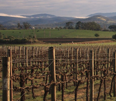 电话轰在线轰炸平台自助下单